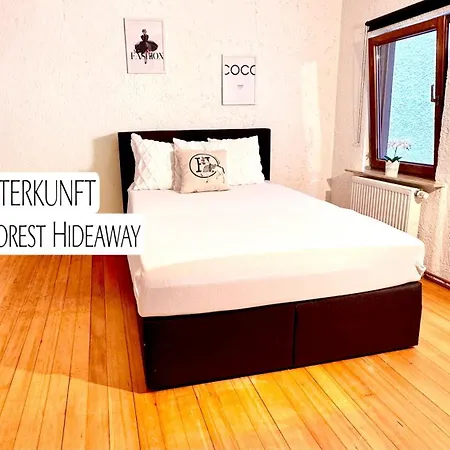 홈스테이 Black Forest Hideaway
